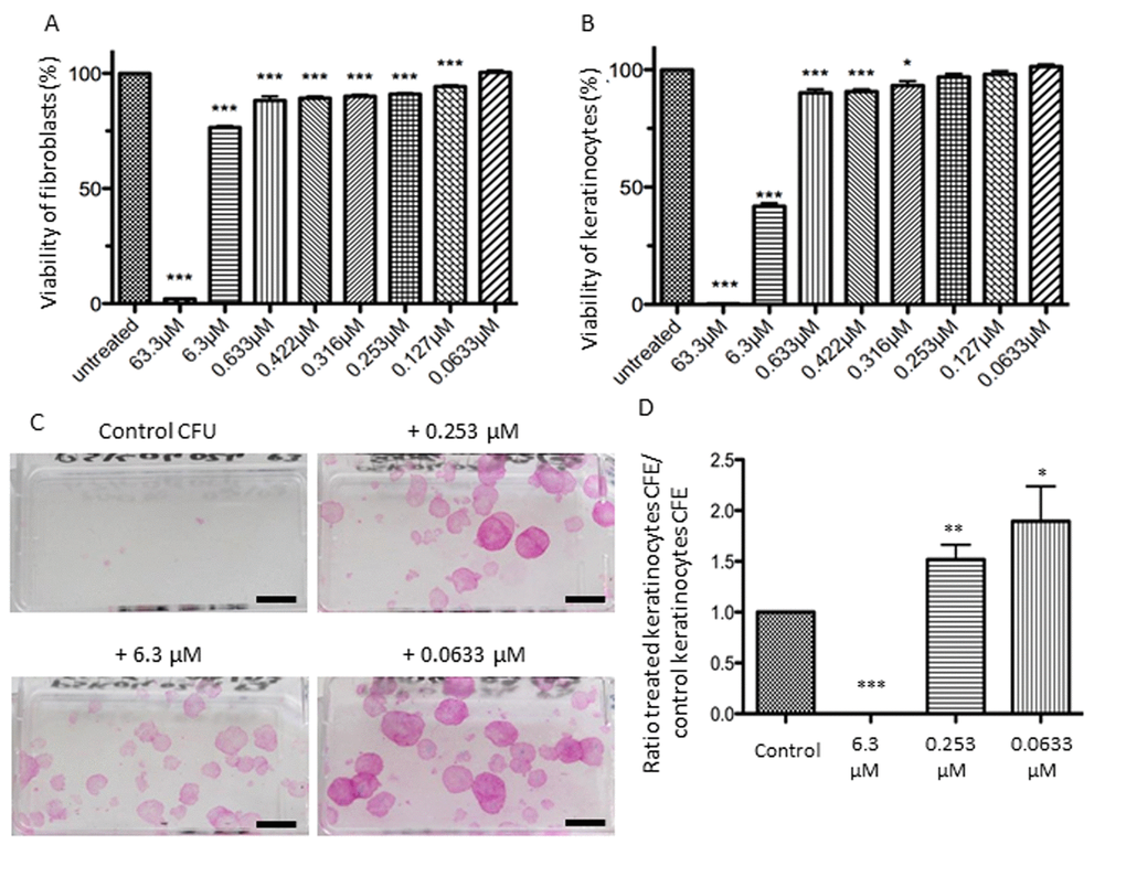 Influence of selenium on cell viability and proliferation. Effects on cell viability after application of a range of NaSe concentrations during 72 h for (A) fibroblasts and (B) keratinocytes. Viability is calculated as the “(mean of treated cells–mean of blank) / (mean of untreated cells–mean of blank)” ±SD (n=3 donors and n=12 measurements per conditions). The stars illustrate statistical differences between 100% and mean of experimental points. Effects of 3 Selenium concentrations on clonogenic potential of keratinocytes from 3 donors after 12 days of supplementation. (C) Representative aspect of the colonies at different concentrations versus the control, (n=3; scale bar=1cm) and (D) CFE ratio are calculated to avoid inter-individual heterogeneity of CFE. *p