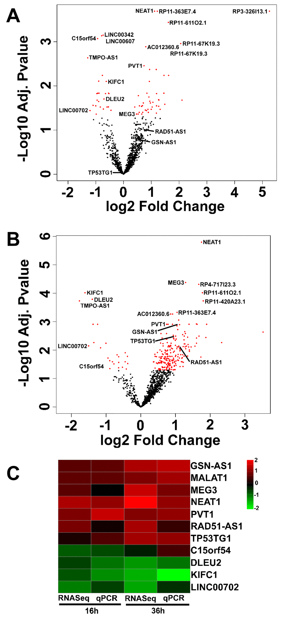 LncRNAs differentially expressed upon HUVEC exposure to H2O2. HUVEC were exposed to H2O2 for 16 hrs (A) and 36 hrs (B) and lncRNA expression was measured by rRNA-depleted RNA-sequencing (n= 3). Volcano plots show adjusted p values in a negative Log10 scale and fold changes in a log2 scale. LncRNAs significantly (adjusted p values 2O2 treatment are indicated in red. The names of top 10 modulated lncRNAs and of qPCR validated lncRNAs are indicated. (C) In independent HUVEC cultures treated as in A and B (n= 3), the modulation of the indicated lncRNAs was assayed by qPCR. The heat map shows modulated lncRNAs as log2 values. Green= down-modulation; red= up-regulation.