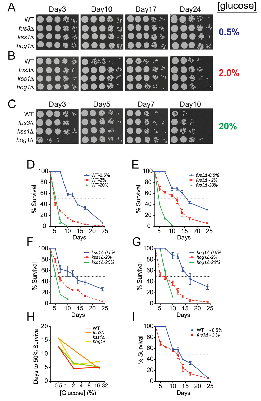 Yeast lacking FUS3 exhibit sharp survival differences in response to fluctuating glucose levels. (A) Qualitative CLS spot assay of indicated yeast strains grown in SD medium with 0.5% glucose. (B) Same as A, but in SD medium with 2% glucose. (C) Same as in A but in SD medium with 20% glucose. (D-G) Overlaid survival decay profiles of WT, fus3Δ, kss1Δ, and hog1Δ grown in SD medium with 0.5%, 2%, or 20% glucose. (H) Plot of the number of days taken to reach 50% survival for the indicated yeast strains grown at different glucose concentrations, which shows that cells lacking FUS3, unlike other MAPKs, exhibit nearly linear sensitivity to fluctuations in glucose concentration. (I) Overlaid survival decay profiles of wild type cells grown under calorie restriction (0.5% glucose) and fus3Δ cells grown under calorie optimal (2% glucose) conditions, which reveals that deletion of FUS3 has nearly similar longevity extension effect as does calorie restriction of wild type cells. Error bars throughout the figure represent the standard deviation across 3 analytical replicate experiments.