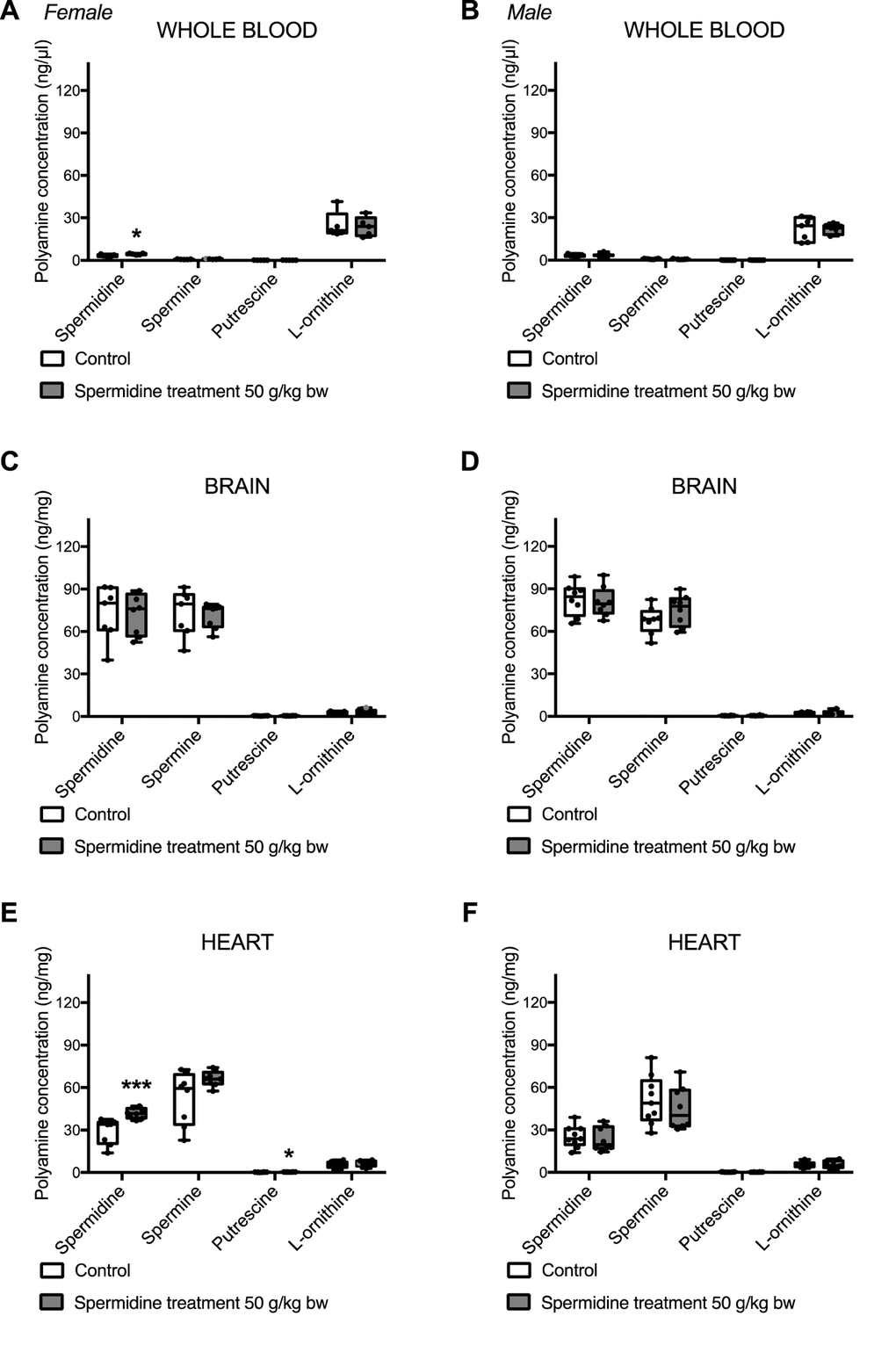 Levels of spermidine, spermine, putrescine, and L-Ornithine in whole blood (A,B), brain (C,D) and heart (E,F) after a 28-day oral spermidine supplementation using spermidine-rich plant extract in female (A,C,E) and male (B,D,F) mice (post mortem analysis). The measurements have been conducted on frozen, murine tissue samples using LC/MS-MS analysis of polyamine metabolites. Data is depicted by box plots extending from 25th to 75th percentile and whiskers ranging from the minimum to the maximum value. Individual data points are marked as dots. (n = 5-10 per gender and group).