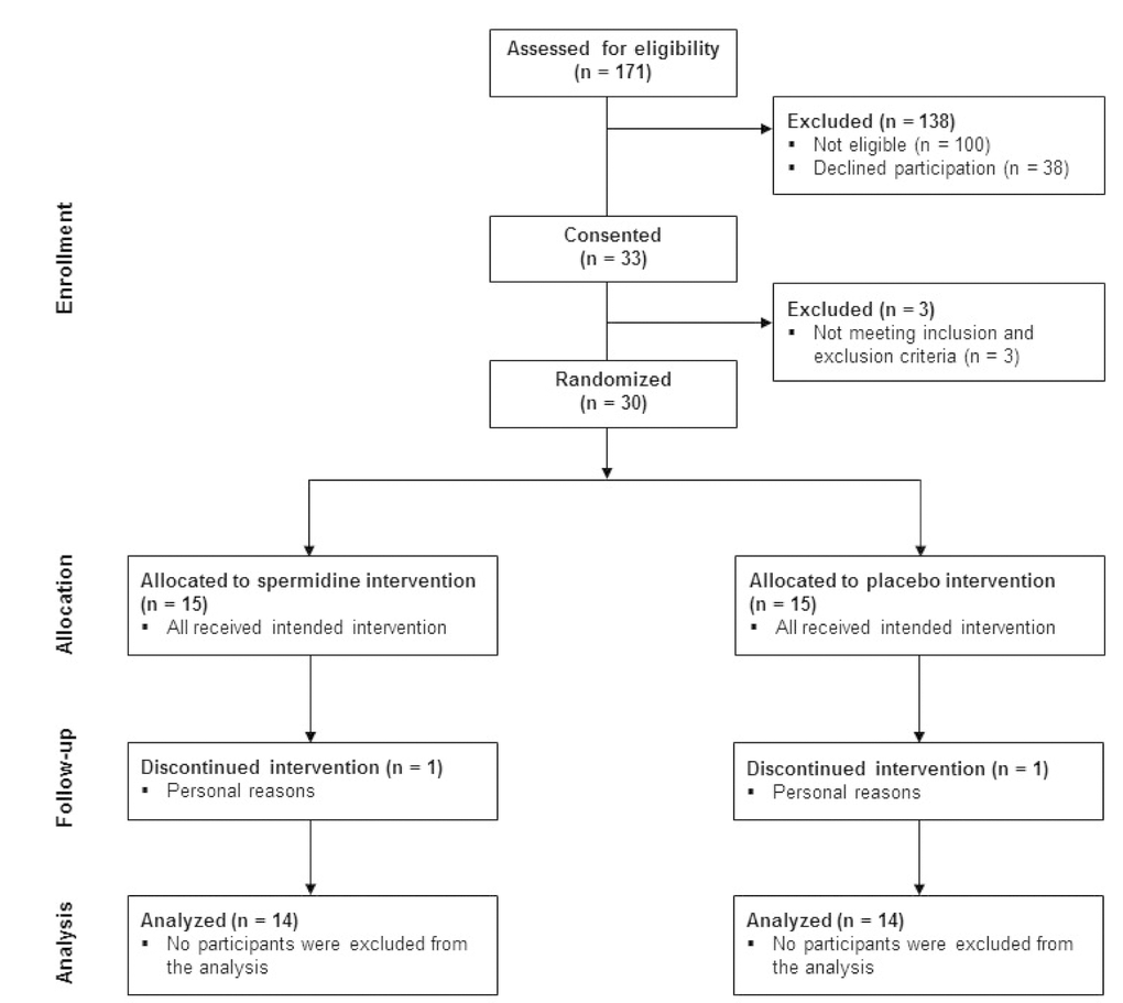 CONSORT diagram indicating the number of participants at each stage of the study