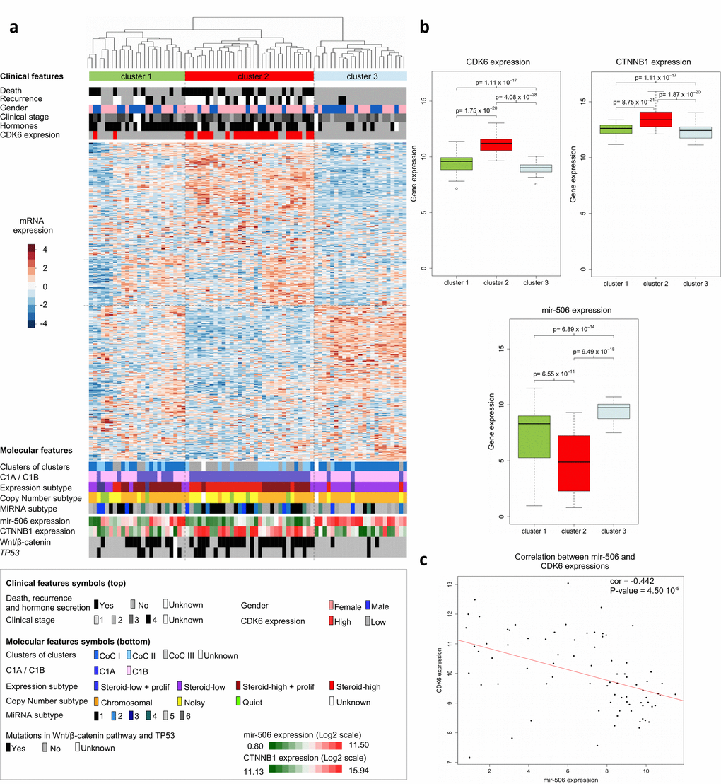 Clinical and molecular features of adrenocortical carcinomas. (a) Hierarchical clustering of the 79 ACC samples results into clusters 1, 2 and 3, as indicated in color bars at the top of the heatmap. Clustering is based on the expression levels of the top 500 most variant genes from the transcriptomes of the 79 ACCs. Dissimilarities between samples are indicated by the dendrogram at the top of the heatmap. Expression levels are shown by colors. Colors follow the base-2 log color scale at the left of the heatmap. The color symbols for clinical and molecular features are indicated in the frame at the bottom of the heatmap. (b) Box-plots showing the distribution of the CDK6, CTNNB1 and MIR506 gene expression values of tumor samples in the three transcriptome-based clusters. A base-2 log scale is used for the Y-axis showing gene expression. The band at the middle of the box indicates the median value. The bottom and top of the box are the 25th and 75th percentiles. Bottom and top whiskers represent the limits of exclusion of outliers. p values show the significance of the unilateral Wilcoxon-Mann-Whitney test. (c) Scatter plot showing the expression values of CDK6 and MIR506 of ACC samples, for which a base-2 log scale is used. The value of the Pearson coefficient (cor.) and the Pearson test p value for correlation are indicated at the top-right of the scatter plot. The red line is the linear regression line illustrating the negative correlation of expression between CDK6 and MIR506. Clinical and molecular features (with the exception of the CDK6 expression group) were previously described [9,11].