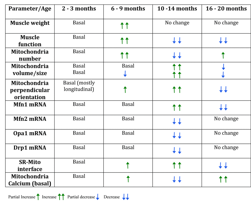 Table 1. Summary table of the changes found in the different groups during mice lifespan.