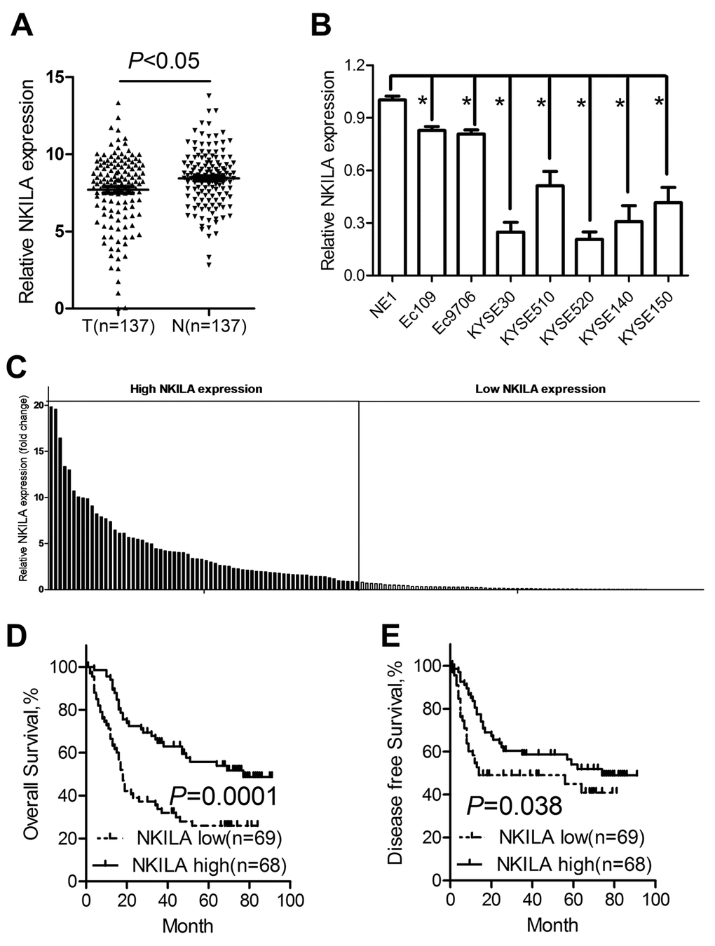 NKILA is downregulated in ESCC tumor tissues and predicts poor prognosis of ESCC patients. (A) The expression levels of NKILA in ESCC tissues and corresponding noncancerous tissues was detected by qPCR. (B) Expression of NKILA in a panel of ESCC cancer cell lines and immortalized squamous epithelial cells. (C) The expression levels of NKILA in ESCC cancer tissues was normalized to that of corresponding noncancerous tissues. Data was presented as fold change of △Ct. The patients were assigned to high expression group and low expression group using the median fold change as cutoff value. Kaplan–Meier analysis of overall survival (D) and disease-free survival (E) in ESCC patients with low and high NKILA levels. Data in B represents the mean ± SD of three repeated experiments. *P 