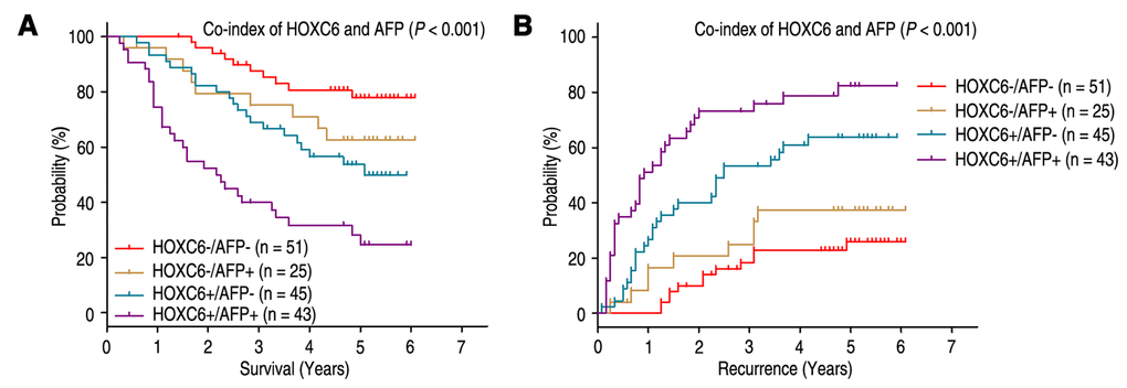 Combined value of HOXC6 and serum AFP identify different risks of HCC death and recurrence. The associations of HOXC6/AFP co-expression with Overall survival (log-rank P A) and Time to recurrence (log-rank P B) in 164 HCC patients.