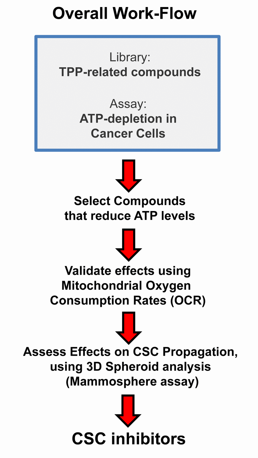 Overall Work-Flow: Identifying mitochondrial inhibitors to target CSC propagation. Here, we selected TPP-related compounds as the starting point for screening, because this ensures that all the compounds tested are targeted to mitochondria. Remarkably, we show that this strategy yields mitochondrial inhibitors of CSCs that are non-toxic in normal human fibroblasts, thereby effectively limiting drug toxicity.