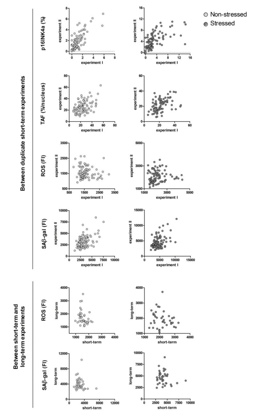 Correlation plots of the same senescence markers between duplicate experiments and between short-term versus long-term experiments. Each dot represents an individual donor, N=40-100. Uncorrected (not log transformed) data points are shown. P16INK4a: percentage of p16INK4a positive cells; TAF (telomere associated foci): percentage of nuclei with ≥1 TAF/nucleus; ROS: mean fluorescence intensity peak reactive oxygen species; SAβ-gal: median fluorescence intensity peak senescence-associated β galactosidase. For the between short-term and long-term experiment correlations, in vitro variables are the mean of short-term experiments.