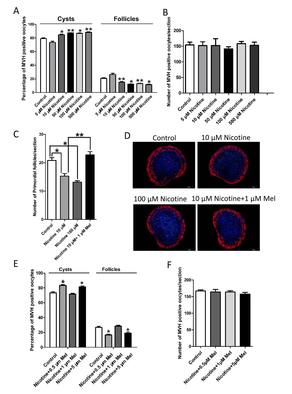 Changes about percent of germ cell in cyst and follicle in nicotine-exposed and melatonin-treated ovaries after 5 days culture in vitro. (A) Percentage of oocytes in cyst and follicle after the ovaries treated with nicotine at incresing dosage (5 μM-500 μM) for 5 days culture in vitro. (B) Number of oocytes in one section after the ovaries treated with nicotine at incresing dosage (5 μM-500 μM) for 5 days culture in vitro. (C) Number of primordial follicles in one section after 5 days culture in vitro of control, 10 μM nicotine, 100 μM nicotine and 10 μM nicotine plus 1 μM melatonin. (D) Representative IF for the germ cell marker Mvh in ovary tissue sections after 5 days culture in vitro of control, 10 μM nicotine, 100 μM nicotine and 10 μM nicotine plus 1 μM melatonin. (E) Percentage of oocytes in cyst and follicle after 5 days culture in vitro with 10 μM nicotine plus 0.5 μM, 1 μM and 5 μM melatonin respectively. (F) Number of oocytes in one section after 5 days culture in vitro with 10 μM nicotine plus 0.5 μM, 1 μM and 5 μM melatonin respectively. The results are presented as mean±SD. All the experiments were repeated at least three times. * P 