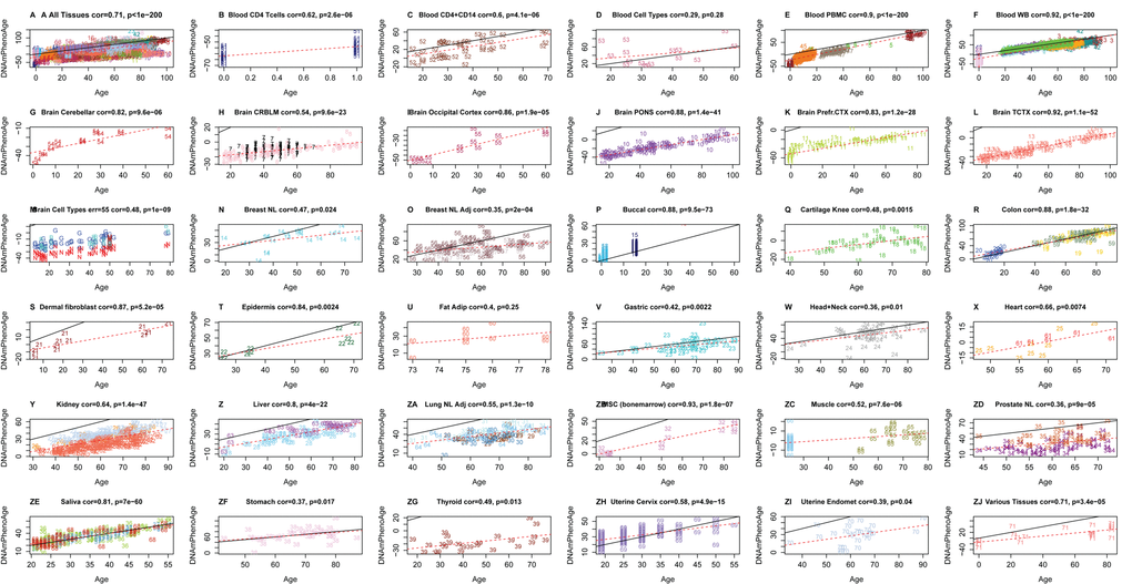 Chronological age versus DNAm PhenoAge in a variety of tissues and cells. Although DNAm PhenoAge was developed using methylation data from whole blood, it also tracks chronological age in a wide variety of tissues and cells. (A) The correlation across all tissues/cells we examined is r=0.71. (B-ZJ) report results in different sources of DNA as indicated in panel headings. The numbers correspond to the data sets from (Horvath 2013). Overall, correlations range from r=0.35 (breast, panel O) to r=0.92 (temporal cortex in brain, panel L).