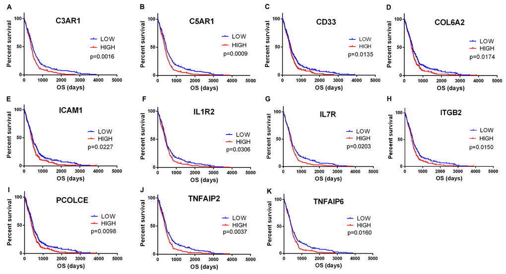 Correlation of expression of individual DEGs in overall survival in TCGA. Kaplan-Meier survival curves were generated for selected DEGs extracted from the comparison of groups of high (red line) and low (blue line) gene expression. p