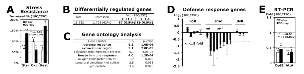 Imd AMP genes are downregulated in adult flies developed at 18°C. (A) Increased stress resistance of 2-day-old (white) and 30-day-old (black) male adult flies developed at 18 °C, which were compared from 2- and 30-day-old flies developed at 25 °C (0%), respectively. The median survival times of flies under each stress (starvation, oxidation or heat) were calculated from the survival curves of 3 ~ 5 independent experiments, and then the changed percentage is represented as average ± standard error of mean (SEM) following normalization with the median of flies developed at 25 °C (starvation: 28.2 and 11.1 hours; oxidation: 15.4 and 8.0 hours; heat: 15.3 and 1.7 hours of 2- and 30-day-old flies, respectively). P-value (*): Student’s t-test. (B) The gene expression analyses between 2-day-old male flies developed at 18°C and 25°C. From three independent microarray experiments, the fold changes of gene expression (18C/25C) were averaged with SEM. (C) With the genes changed more than 1.5 fold (total 176 in B), the gene ontology was analyzed using a DAVID web tool (<a href="http://david.abcc.ncifcrf.gov/home.jsp" target="