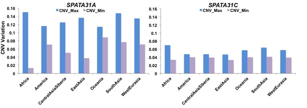 Range of SPATA31 copy numbers in different human population groups. The data are based on normalized read depth from the Simons Genome Project data [26] from which we have also retrieved the classification into population groups. The Y-axis represents normalized read depth measures, minimum and maximum values are provided for each group.