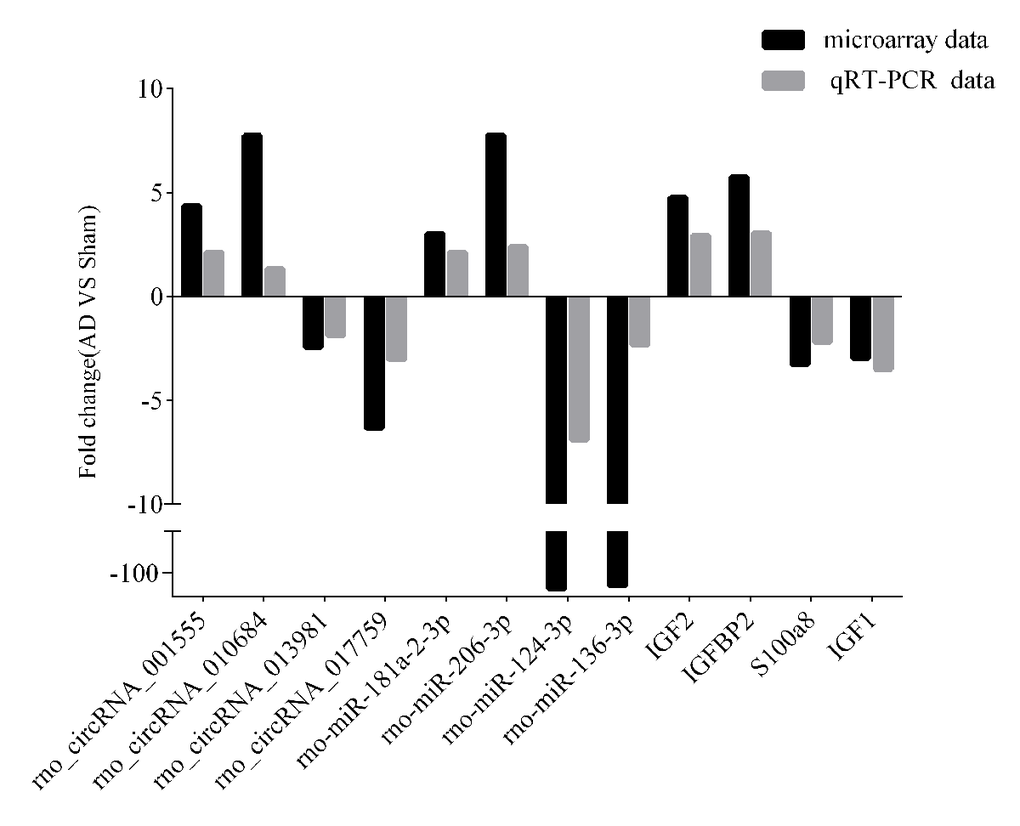 qRT-PCR-validated ncRNA and mRNA expression changes. Microarray validation by qRT-PCR. Expression levels of four circRNAs, four miRNAs, and four mRNAs were determined by qRT-PCR. Each assay was performed at least three times. *p 