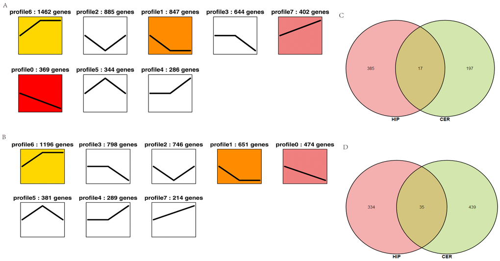 Overall expression patterns of circRNAs in different regions of the brain. (A) Expression patterns of circRNAs in the hippocampus. (B) Expression patterns of circRNAs in the cerebellum. The colored profile represents significant enrichment (p C–D) Venn diagram showing the up- and downregulated circRNAs in both the hippocampus and cerebellum. C: upregulated circRNAs. D: downregulated circRNAs.