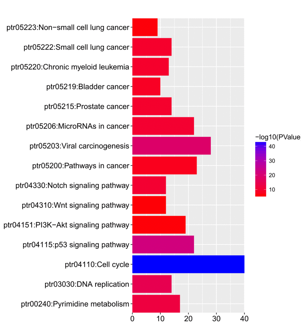 The functions of E2Fs and genes significant associated with E2Fs alterations were predicted by analysis of Kyoto Encyclopedia of Genes and Genomes (KEGG) by DAVID (Database for Annotation, Visualization, and Integrated Discovery) tools (<a href="https://david.ncifcrf.gov/summary.jsp" target="