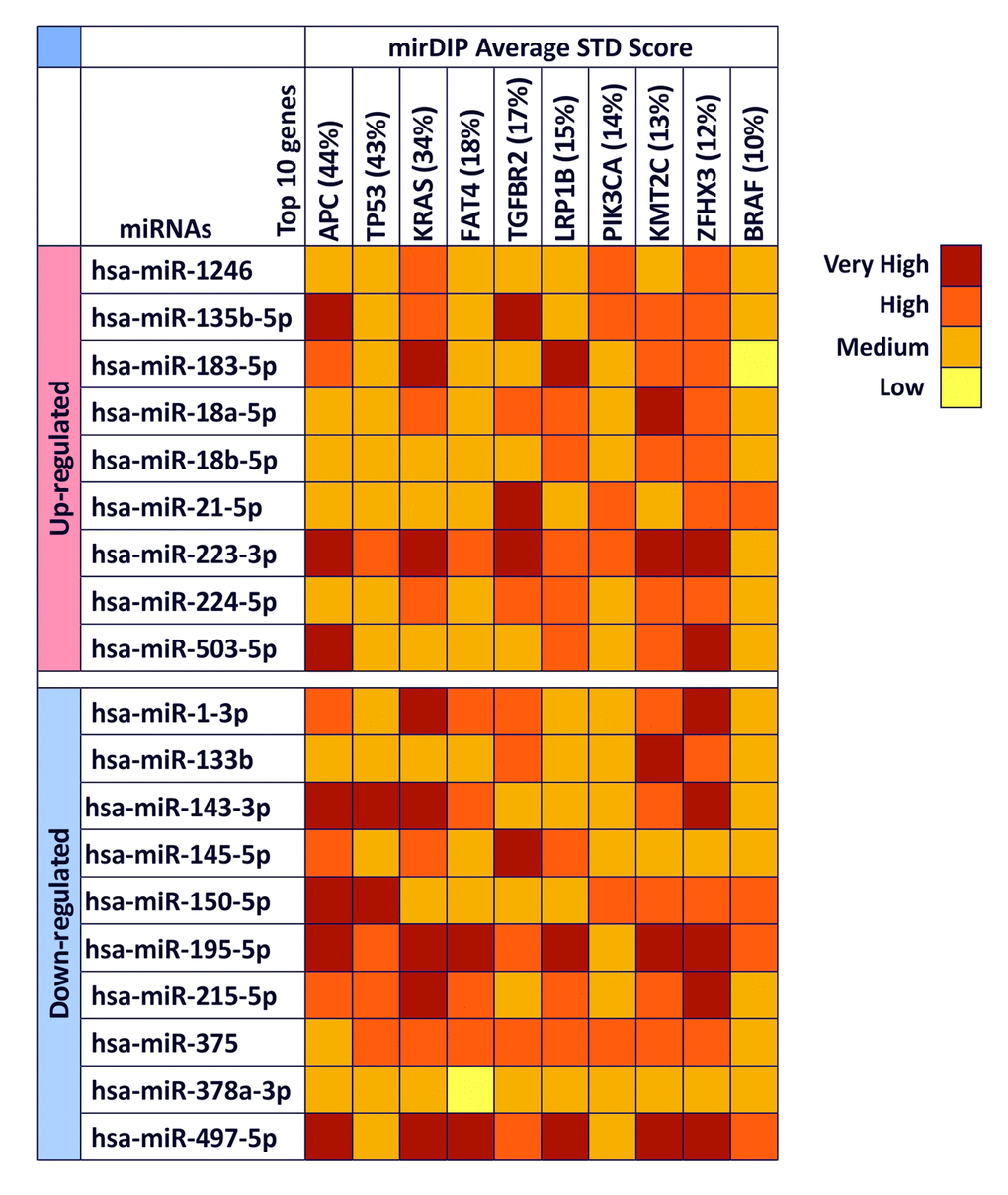 mirDIP gene target analysis – Interaction between selected miRNAs and main altered genes in CRC. For each miRNA is reported the level of interaction with the 10 genes involved in CRC is reported. The intensity of interaction is highlighted with a color scale ranging from dark red (very high interaction) to yellow (low interaction).