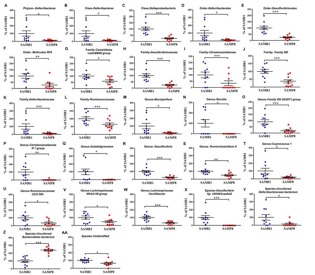 Differential levels of the gut bacteria between SAMR1 and SAMP8 mice. (A) Phylum Deferribacteres (t-test, P B) Class Deferribacteres (t-test, P C) Class Deltaproteobacteria (t-test, P D) Order Deferribacterales (t-test, P E) Order Desulfovibrionales (t-test, P F) Order Mollicutes RF9 (t-test, P G) Family Clostridiales vadinBB60 group (t-test, P H) Family Desulfovibrionaceae (t-test, P I) Family Christensenellaceae (t-test, P J) Family Family XIII (t-test, P K) Family Deferribacteraceae (t-test, P L) Family Ruminococcaceae (t-test, P M) Genus Mucispirillum (t-test, P N) Genus Serratia (t-test, P O) Genus Family XIII AD3011 group (t-test, P P) Genus Christensenellaceae R-7 group (t-test, P Q) Genus Subdoligranulum (t-test, P R) Genus Desulfovibrio (t-test, P S) Genus Ruminiclostridium 9 (t-test, P T) Genus Coprococcus 1 (t-test, P U) Genus Ruminococcaceae UCG 004 (t-test, P V) Genus Lachnospiraceae NK4A136 group (t-test, P (W) Genus Lachnospiraceae oscillibacter (t-test, P X) Species Desulfovibrio sp. UNSW3caefatS (t-test, P Y) Species uncultured Deferribacteraceae bacterium (t-test, P Z) Species uncultured Bacteroidales bacterium (t-test, P AA) Species Unidentified (t-test, P 