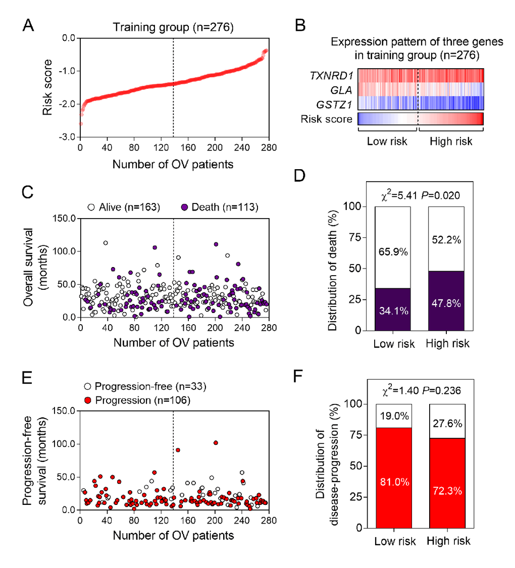 The three-gene signature-focused risk score in prognosis of overall survival in the validation group. (A) The three gene-based risk score distribution. (B) The heatmap of the expression of three genes. (C) Patients’ overall survival status in training group. (D) The mortality rate in low- and high-risk score groups. (E) Patients’ progression-free survival status in training group. (F) The recurrence rate in low- and high-risk score groups.