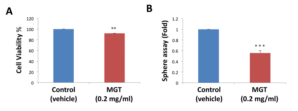 MGT treatment reduces stemness in MCF7 breast cancer cells. (A) The effects of 0.2 mg/ml MGT on cell proliferation were tested on MCF7 cells in monolayer by SRB assay. Note that MGT only slightly reduced viability of bulk cancer cells by 8%. (B) Importantly, MGT inhibited the sphere-forming ability of MCF7 cells by 50%. Bar graphs are shown as the mean ± SEM; t-test, two-tailed test. **p 