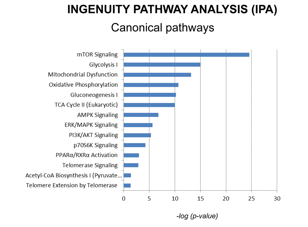 Canonical pathways affected by MGT in MCF7 cells. Ingenuity pathways analysis (IPA) showed the cellular pathways most significantly (pp value for each pathway is represented with a bar and reported as the negative log of the p value.