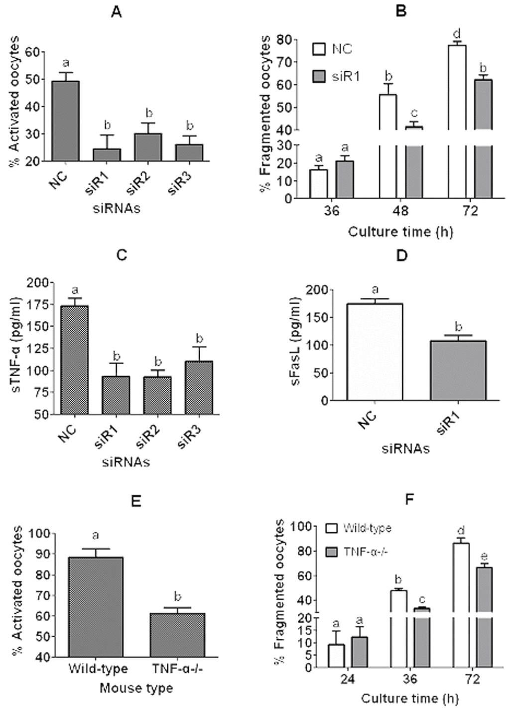 Experiments using TNF-α-knockdown CCs and the COCs from TNF-α-knockout (TNF-α-/-) mice. In panels (A) to (D), CCs were transfected with negative control siRNA (NC) or siRNAs (siR) 1, 2 or 3 against TNF-α before culture in CZB containing 200-µM H2O2 and CM collection. In panels (A) and (B), DOs recovered 13 h post hCG injection were cultured in the CM for 12 h before ethanol treatment for activation (A) or culture in CZB for different times for fragmentation observation (B). In panels (C) and (D), concentrations of sTNF-α or sFasL in the CM were measured by ELISA, respectively. In panels (E) and (F), COCs recovered 13 h post hCG injection from wild-type C57BL/6J mice and TNF-α-/- mice were cultured for 12 h in CZB medium before examination for ethanol activation (E) or for fragmentation (F). To observe fragmentation, the COCs were freed of CCs and the resulting DOs were cultured in CZB for different times before examination for fragmentation. To examine activation or fragmentation, each treatment was repeated 3-5 times with each replicate including about 30 oocytes. For measurement of sTNF-α or sFasL in CM, each treatment was repeated 3 times with each replicate including 100 µl of CM from one culture well. a-e: Values with a different letter above bars differ significantly (P 