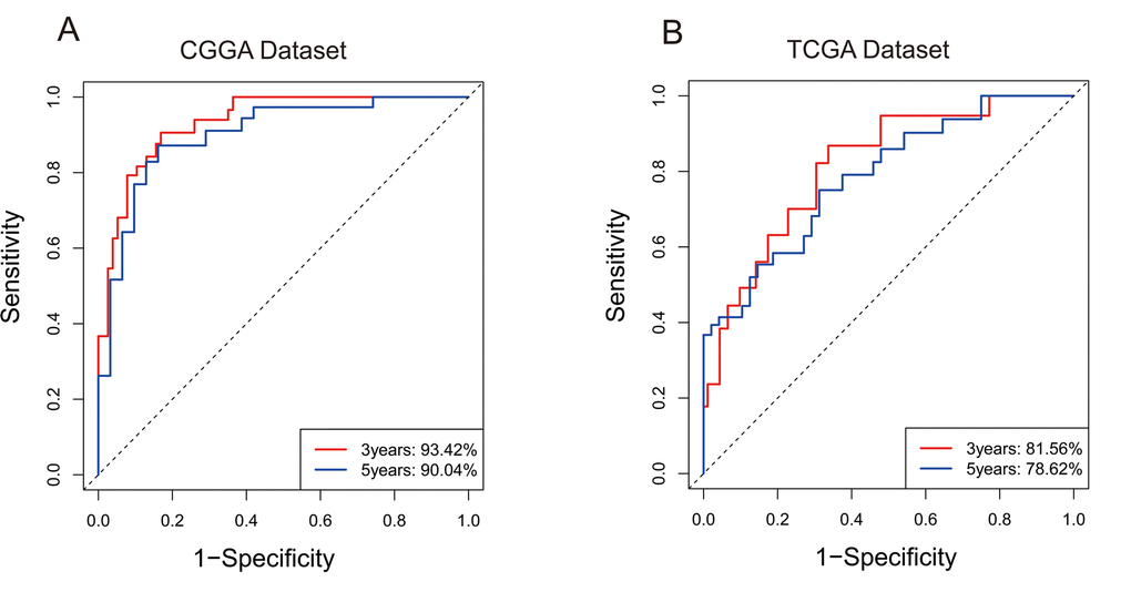 7-gene signature predicted survival of 3 years and 5 years with high specificity and sensitivity. (A) In CGGA, Area Under Curve (AUC) of 3 years and 5 years reached 93.42% and 90.04%. (B) In TCGA, Area Under Curve (AUC) of 3 years and 5 years reached 81.56% and 78.62%.