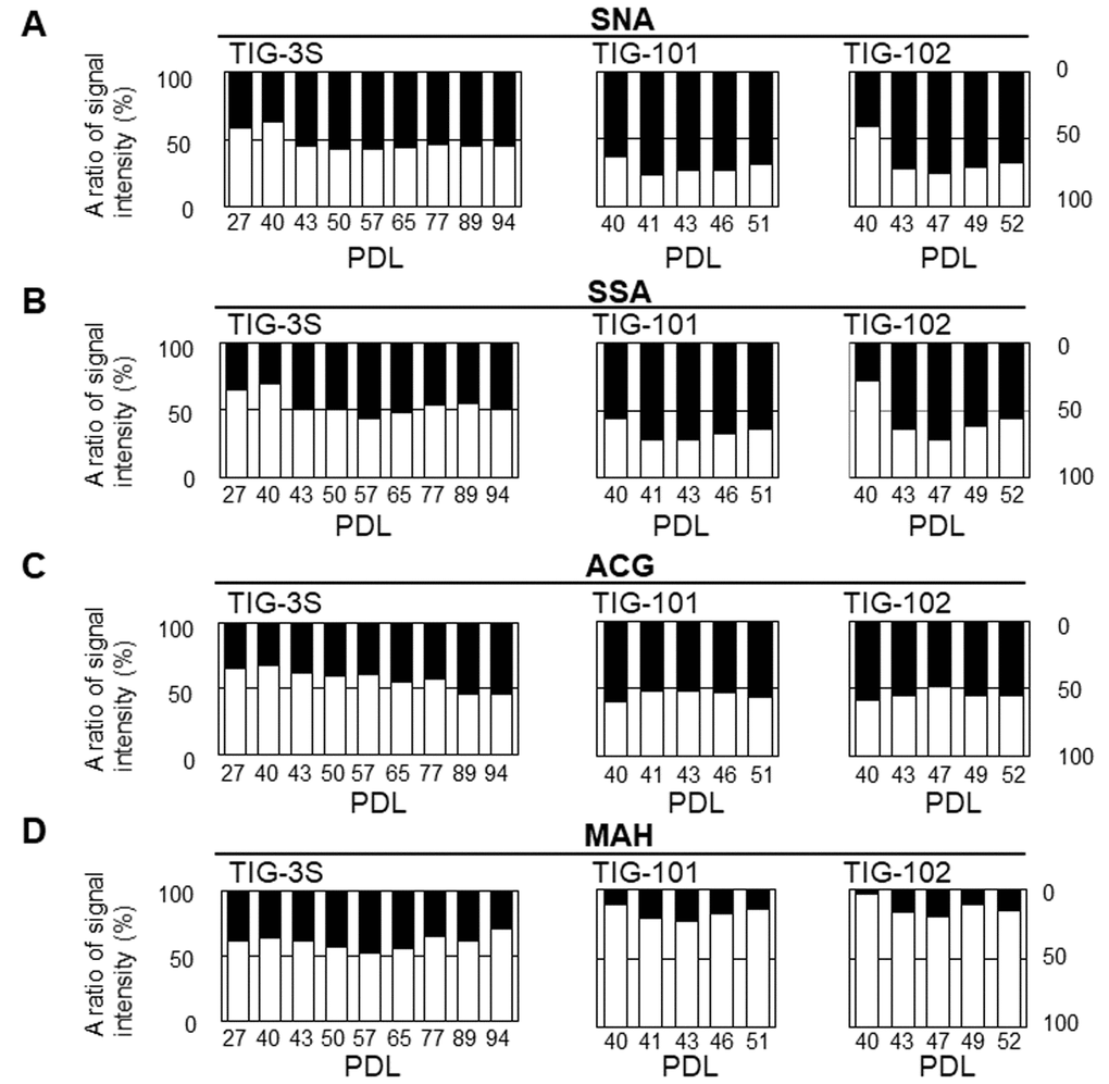 Abundance of intracellular to cell surface glycans in seven lectins: SNA (A), SSA (B), ACG (C), MAH (D) at different PDLs. Left, middle, and right panels show TIG-3S, TIG-101, and TIG-102, respectively. Closed and open bars represent proportions of intracellular and cell surface glycans, respectively, relative to the total array signal at each PDL. Levels of the seven selected lectins in cell surface glycans changed with aging [10].