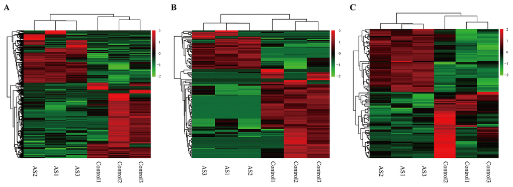 Heatmap showing expression profiles of different RNAs. (A-C) Hierarchical cluster analysis was used to assess the significantly different expressed mRNA, circRNA and miRNAs, respectively (FoldChange > 2 and PValue 