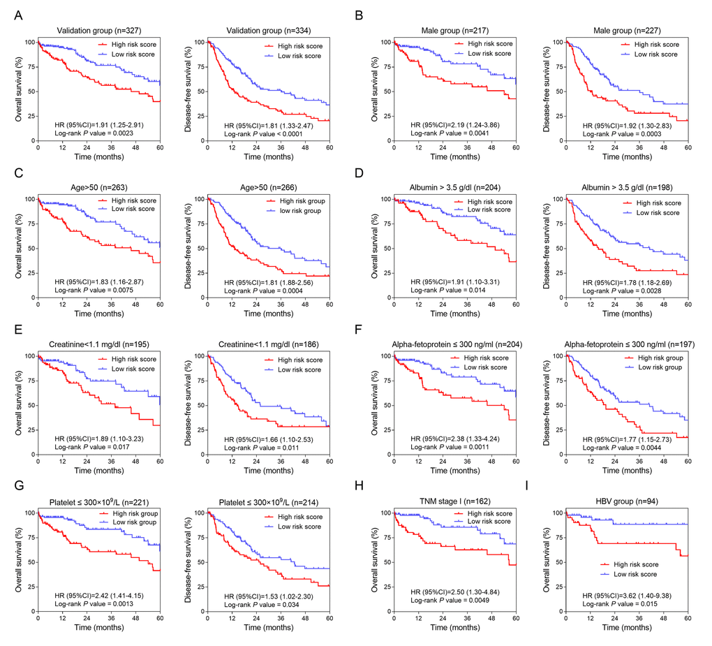 Validation and development of HCC-specific risk score system. (A) Kaplan-Meier curves of OS (Left) and DFS (Right) in the validation dataset. (B, C, D, E, F and G) Kaplan-Meier curves of OS (Left) and DFS (Right) in the subgroups stratified by gender (Male) (B), age (>50) (C), ALB (> 3.5 g/dl) (D), CRE (E), AFP (≤ 300 ng/ml) (F) and PLT (≤ 300×109/L) (G). (H and I) Kaplan-Meier curves of OS in the subgroups stratified by TNM stage (stage I) (H) and HBV infection (I).