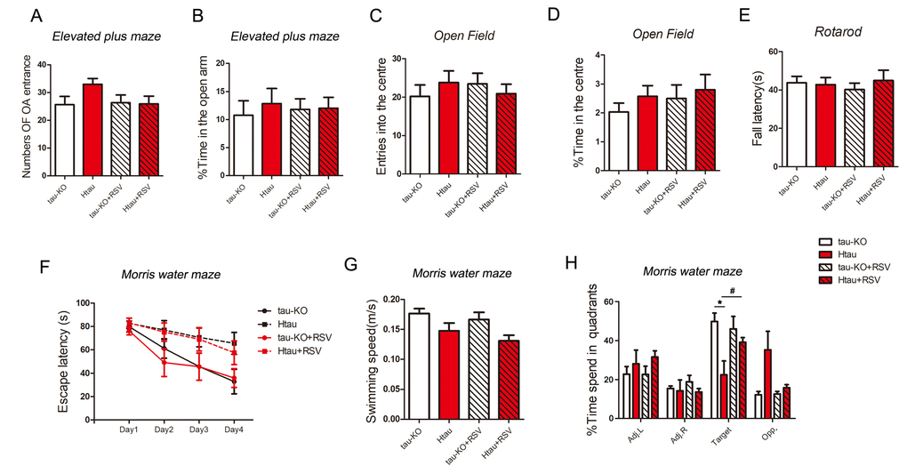 Resveratrol rescues the impaired spatial memory of Htau mice. (A-E) 5-month old tau-KO and Htau mice were treated with resveratrol for 7 months and subjected to general behavior tests. For elevated plus maze test, the amount of time spent in the open arm and number of open arm (OA) entrances were analyzed (A and B). For open field test, time amount spent in center area and entered into the center area were analyzed (C and D). Locomotor activity by tested rotarod test and fall latency were recorded (E). (F-H) Htau and tau-KO mice were subjected to Morris water maze test. During the training phase, travel latency (F) and swimming speed (G) were recorded and analyzed. In the probe trial, the time spent in each quadrant was recorded (H). The data are presented as mean ± S.D. (n=9-11) and analyzed by two-way ANOVA followed by Bonferroni post-test (n=9-11). *, p