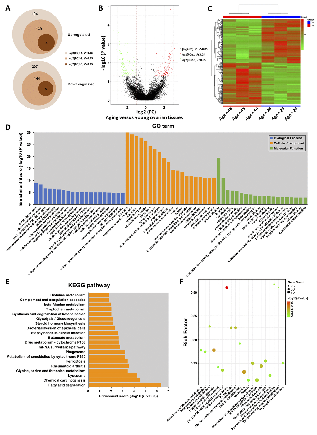 Gene Ontology (GO) and Kyoto Encyclopedia of Genes and Genomes (KEGG) pathway annotation of host genes. (A) Schematic diagram of the DE-circRNAs between young and aging groups. (B) The volcano plot is constructed using fold-change and P-values. The vertical lines correspond to 2.0-fold up- and down-regulation between YA and AA samples, and the horizontal line represents a P-value. Green and red circles represent differentially expressed (DE) circRNAs with statistical significance (fold change > 2.0 and P C) Hierarchical clustering analysis of DE-circRNAs in the ovarian tissues of three young ( 40 years) women. The expression values (Fold change > 2.0, P D) Top 20 GO terms in each category, and top 20 KEGG signalling pathway annotations (E and F).