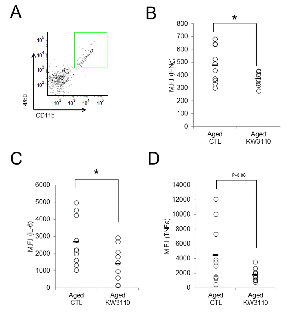 Intake of Lactobacillus paracasei KW3110 mitigated retinal inflammation. Intake of L. paracasei KW3110 in aged mice (17-months-old) suppressed the expression of inflammatory cytokines in retinal macrophage of aged mice. F4/80 and CD11b-positive macrophage in retina were gated as shown in (A), and median fluorescent intensity of intracellular IL-6, IFN-γ, and TNF-α were analyzed by flow cytometry (B-D). Significance was assumed if the p value was *pFigure 3 legend.