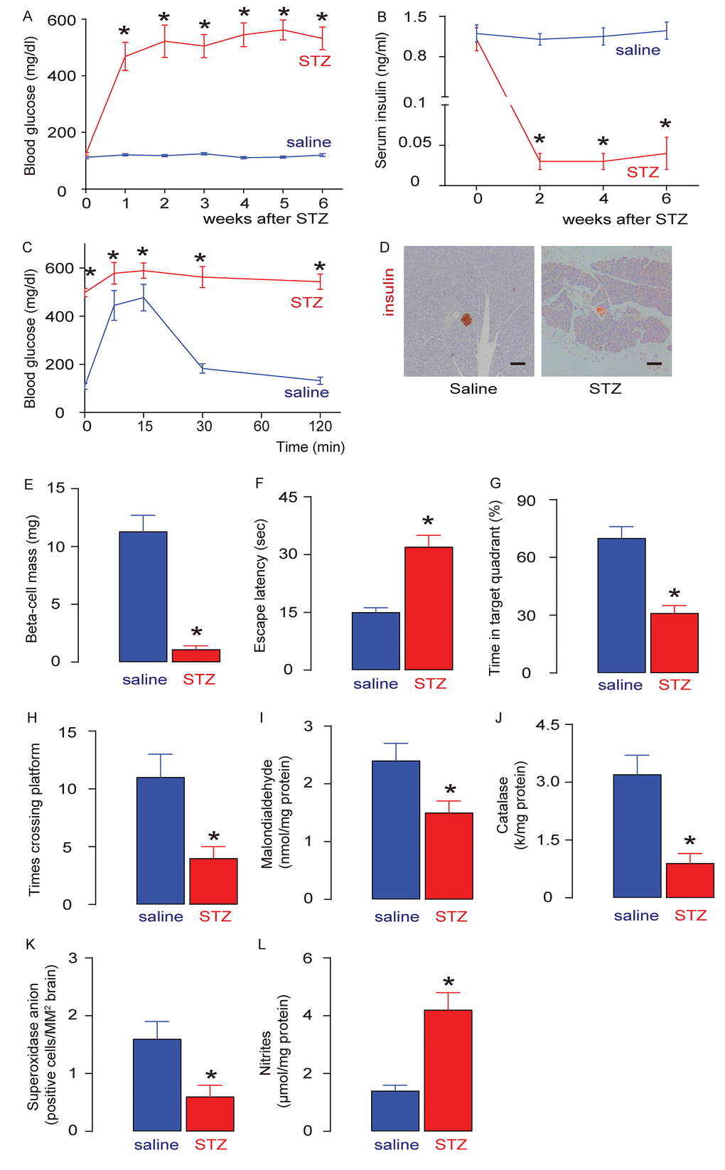 Effects of clinical variables not shown in Figure 4 on 5-year overall and disease-free survival rates. (A-D) Five-year overall survival rate among the 152 rectal cancer patients, taking into account tumor differentiation, pCR status, LVI status, and the CA19-9 level. (E-L) Five-year disease-free survival rate among the 152 rectal cancer patients, taking into account PNI status, neoadjuvant chemotherapy cycles, T stage, pCR status, T stage, LVI status, number of neoadjuvant chemotherapy cycles, and PNI status.