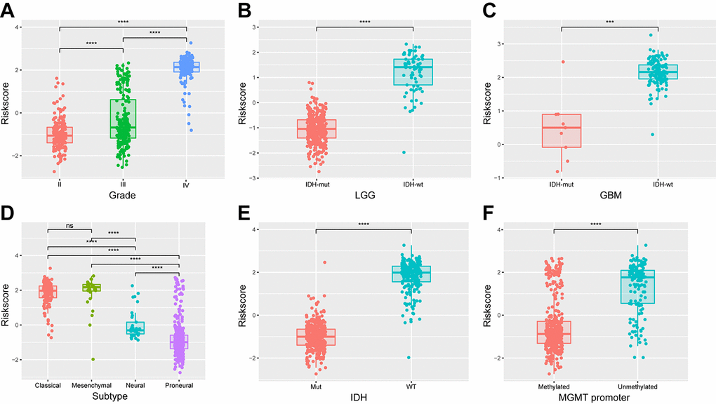 Association between the energy metabolism-related signature and pathologic features in TCGA cohort. (A-F) Distribution of the risk score in stratified patients by grade, subtype, IDH and MGMT promoter status.