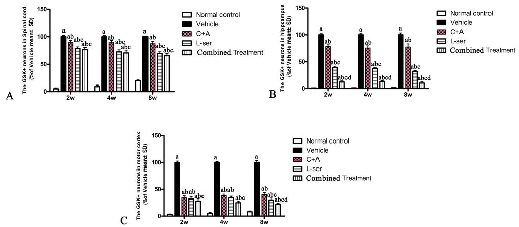 Increased expression of GSK3β in the spinal cord (A), hippocampus (B) and motor cortex (C) was observed in vehicle-treated model rats. The number of GSK3β-positive neurons was remarkably decreased by C16+Ang1 treatment and reduced to an even greater degree after L-serine treatment. The combined treatment group showed the lowest GSK3β cellular expression according to the results of cell quantification. (a) p(c) p