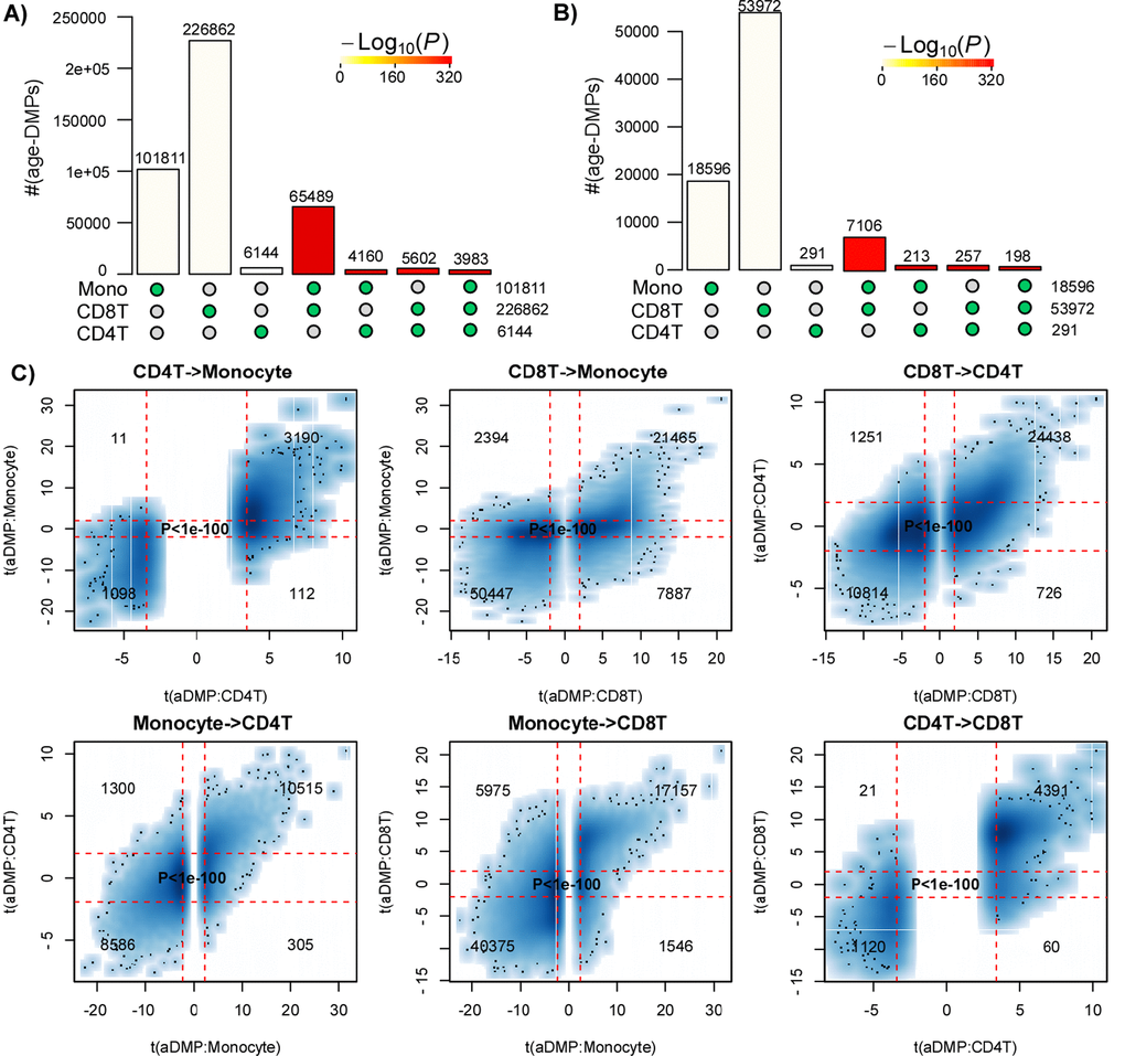 Most age-DMPs are shared between blood cell subtypes. (A) Landscape overlap diagram for age-DMPs defined using FDRB) As A), but now using a Bonferroni corrected PC) Smoothed scatterplots of t-statistics of age-DMPs called in a given blood cell subtype vs. the corresponding t-statistics in another cell subtype, as indicated for the 3 pairwise comparisons. In each panel, we only depict the 100 most outlier data points, provide the number of probes in each significant quadrant and the P-value assessing agreement is from a one-tailed Fisher-test. The vertical red lines indicate the line of FDR