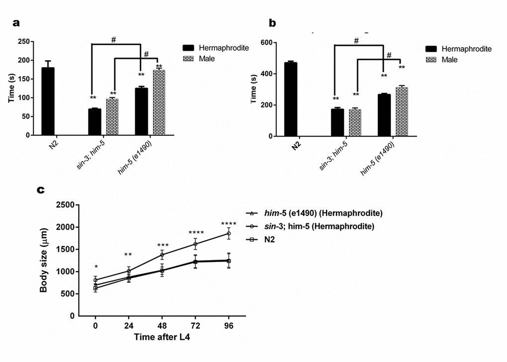 sin-3 mutants have defective cuticle. (a) Graph representing the time in seconds when first major break in the cuticle is observed. (b) Graph representing time in seconds till complete disintegration of the cuticle occurred. (c) Body length of sin-3 mutant worms is longer. Graph representing the body length of nematodes of various strains measured at indicated time after attaining L4 stage (two way ANOVA was performed for all experiments; # p  denotes comparison w.r.t him-5(e1490) and ** p  represent comparison w.r.t N2).