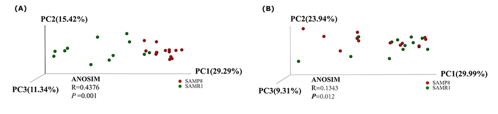 Principal Coordinates Analysis of (A) unweighted and (B) weighted UniFrac distances for SAMR1 and SAMP8. The red circles represent the SAMP8 mice (n = 13) and green circles represent SAMR1 mice (n = 13). PC1, PC2 and PC3 represent the top three principal coordinates that captured the maximum diversity.