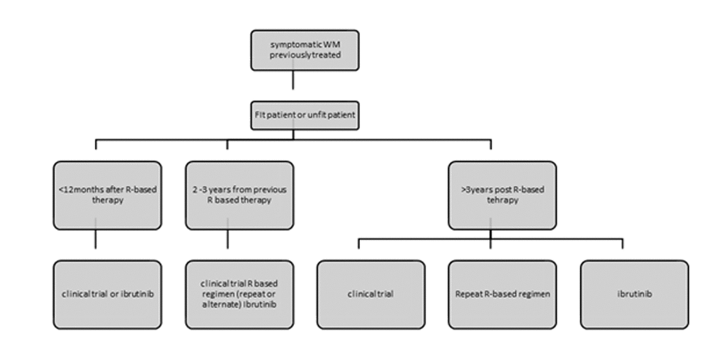 Recommendations for the treatment of previously treated patients with Waldenstrom’s Macroglobulinemia. Figure adjusted from ESMO guidelines for WM 2018 and EMN recommendations for treatment of rare plasma cell dyscrasias. R: rituximab.