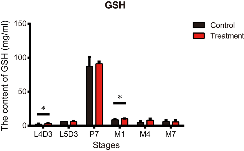 Metformin increases the antioxidant content in silkworms at the P7 stage. Glutathione (GSH) content measured at the indicated developmental stages in silkworms administered metformin (Treatment) or deionized water (Control). Bars depict the mean + SEM, n=9. *P 