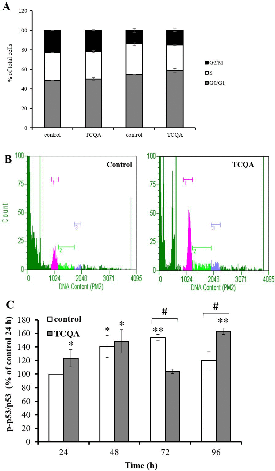 The effect of 3,4,5-tricaffeoylquinic acid (TCQA) on cell cycle and phosphorylation of tumor protein p53 in human neural stem cells (hNSCs)