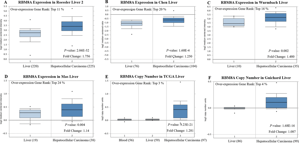 RBM8A transcription in hepatocellular carcinoma (Oncomine)