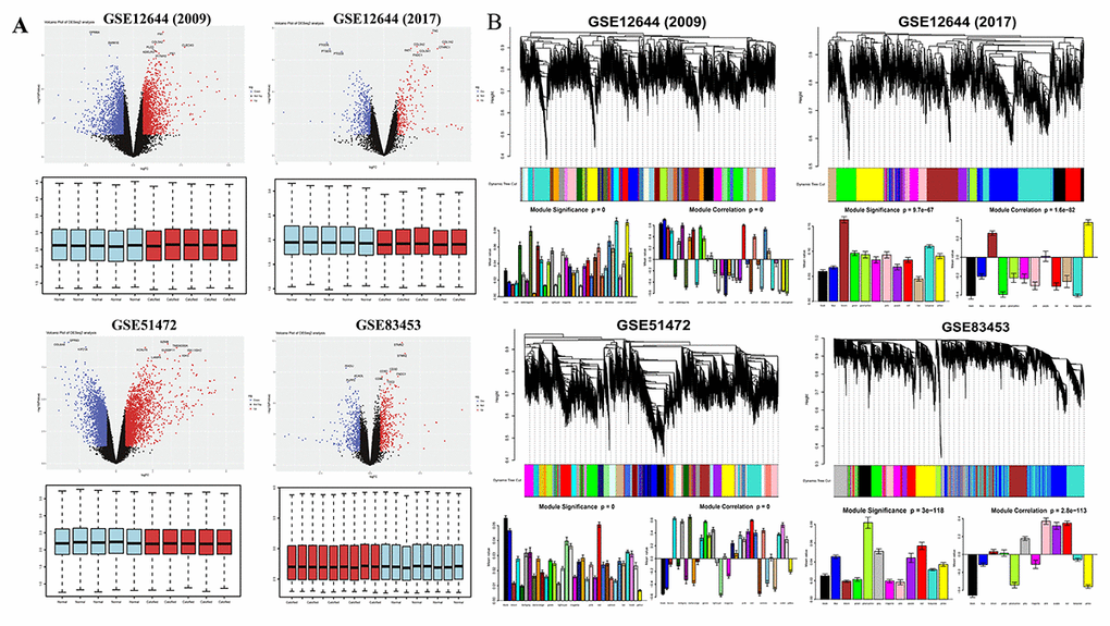 Overview of DEGs between calcified aortic valve stenosis and normal aortic valve tissues. (A) Volcano plot of DEGs and boxplot of normalized gene expression profiles. In the volcano plots, each color dot represents a downregulated or upregulated gene; The red color indicated high expressed genes and the blue color indicated low expressed genes, above and below the median, respectively. (B) Gene modules’ dendrogram plots of DEGs, and bar plots of eigengenes’ module significance and correlation. In the dendrogram plots, each leaf (short vertical lines) in the dendrogram corresponds to a gene and the branches are expression modules of highly interconnected groups of genes with a color to indicate its module assignment.