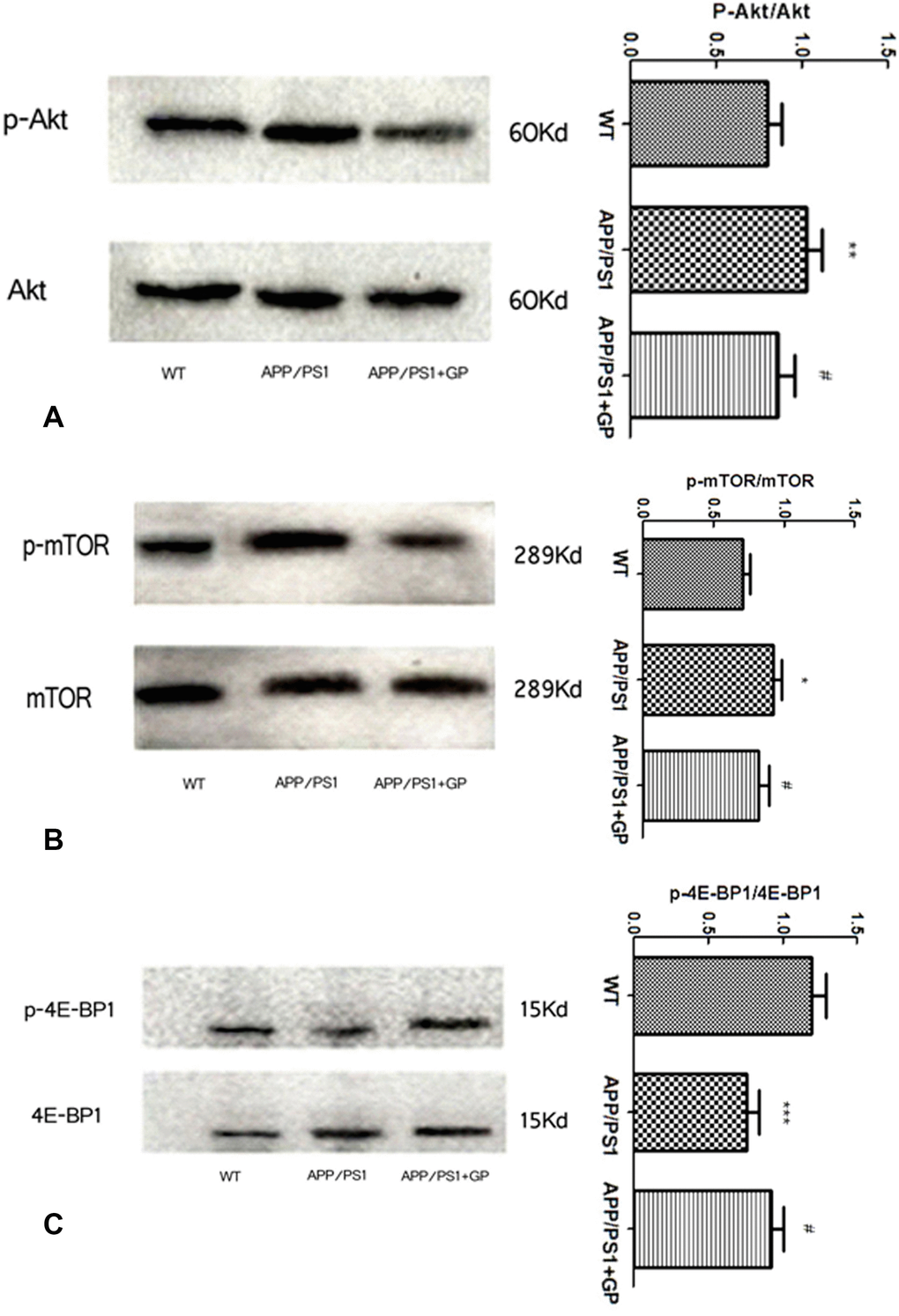 Geniposide treatment decreases mTOR activation markers in brains of APP/PS1 mice