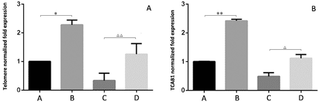 Relative expression levels of telomeres and TCAB1 in 293T cells by RT-PCR