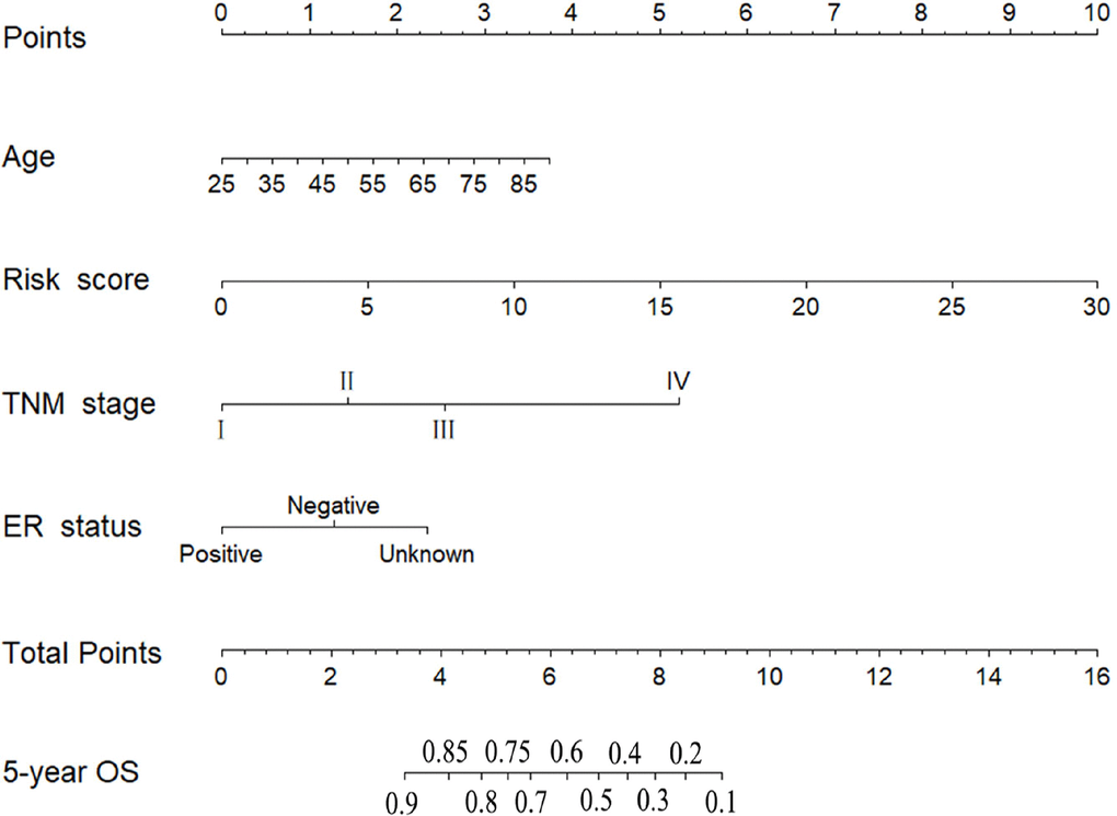 Six-miRNA-based prognostic model to predict 5-year overall survival in breast cancer patients.