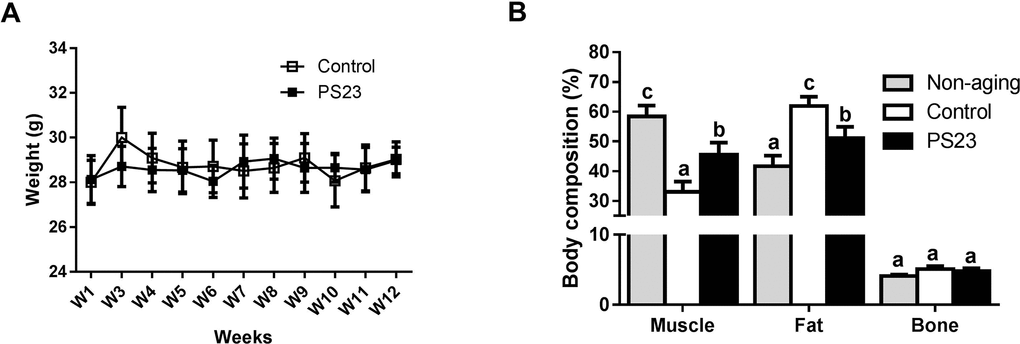 Body weight and body composition. (A) Average weight was measured from weeks 1–12. (B) Body composition was detected at the 12th week. Different superscript letters (a, b, c) differ significantly at p 