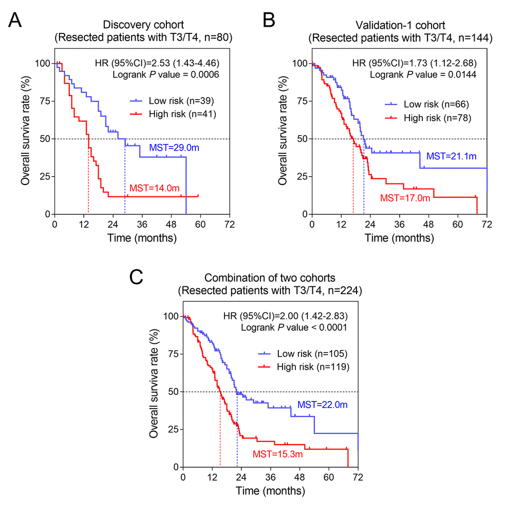 The three-gene signature was associated with prognosis in patients with advanced stage. Kaplan-Meier analysis of the OS of patients with advanced stage in discovery cohort (A) and validation-1 cohort (B). (C) Kaplan-Meier analysis was performed by combining of above two cohorts.