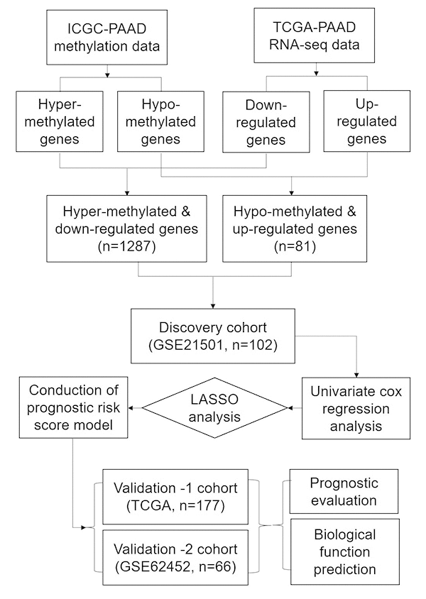 The workflow of construction and evaluation of our prognostic model.