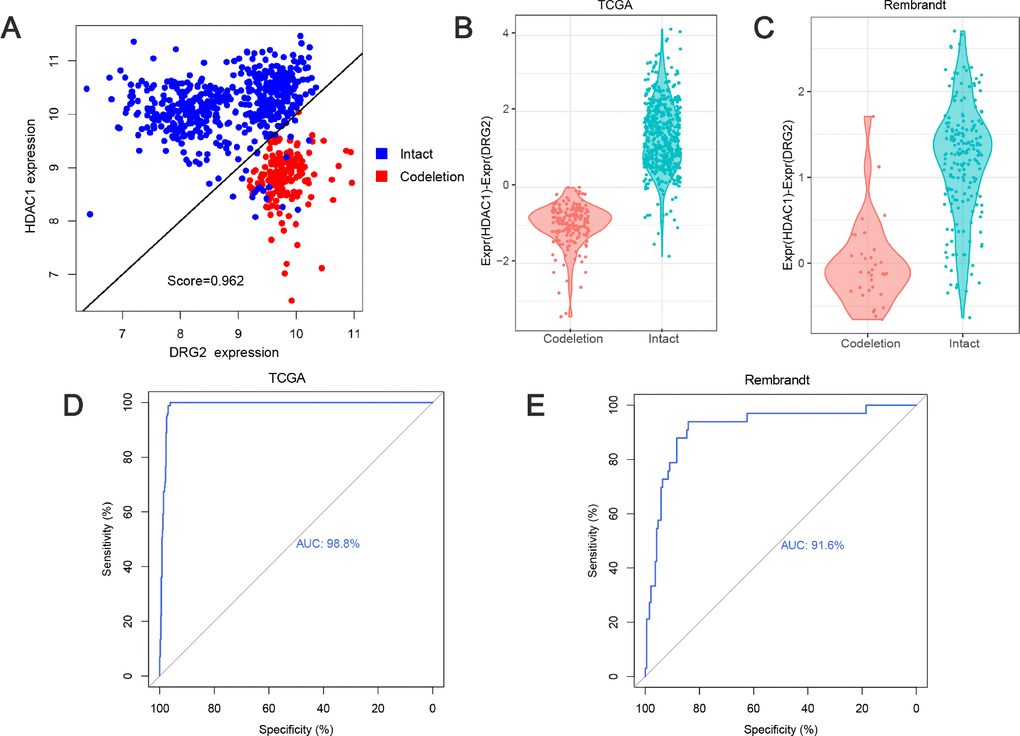 Predicting 1p/19q status by TSPair algorithm. (A) HDAC1 and DRG2 pair was the top scoring pair in predicting 1p/19q (score=0.962). The expression values of training set were normalized as Expr=log2(RSEM+1). (B) the values (HDAC1 - DRG2 expression values) were significantly different (p=0.0063) between 1p/19q co-deleted group and intact group in TCGA cohort. (C) the values (HDAC1 - DRG2 expression values) were significantly different (pD and E) ROC curve for 1p/19q status prediction in TCGA cohort and Rembrandt cohort, AUC=0.988 and 0.916, respectively.